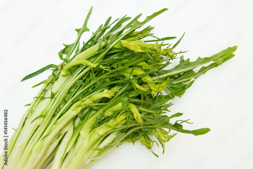 Fresh and raw puntarelle chicory on white Fresh and raw puntarelle chicory on white