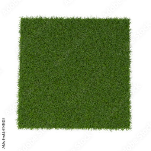 Square of Fescue Grass field over white. 3D illustration