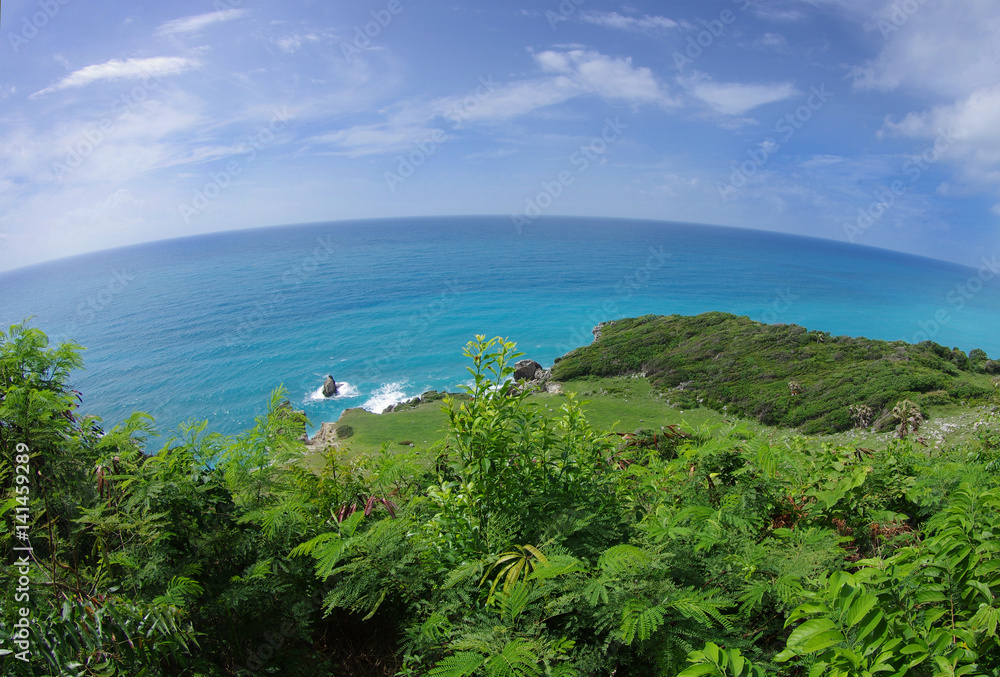 Green equatorial Caribbean sea shore at Dominican Republic in summer, photo shoot with fish eye lens