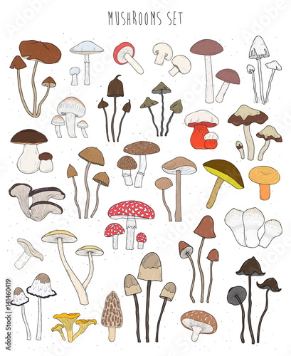 Collection of hand drawn colorful mushrooms. Set isolated edible