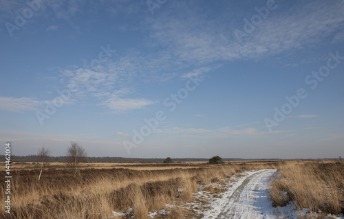 Winterlandscape in Havelte Drente Netherlands. Snow. Dirtroad.