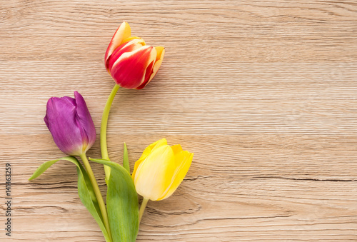 Top view of three tulips in yellow, purple and red colors on light brown wooden background with lots of copy space.