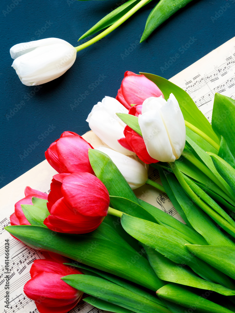 Fototapeta premium Red and white tulips on a book with music music notes on a blue background close-up view from above