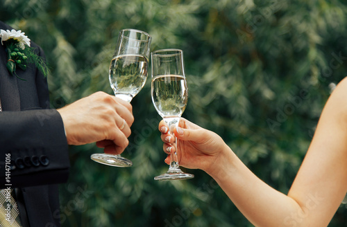 .Newlyweds with glasses of champagne in nature in summer