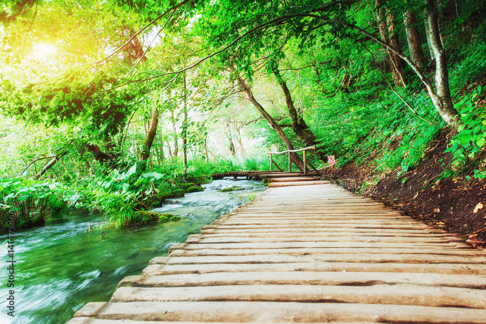 Wooden laying on blue water. Plitvice lakes Croatia Wooden laying on blue water. Plitvice lakes Croatia