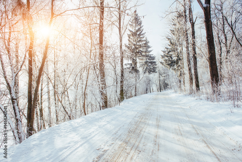 the winter road. Dramatic scene. Carpathian, Ukraine, Europe. the winter road. Dramatic scene. Carpathian, Ukraine, Europe.