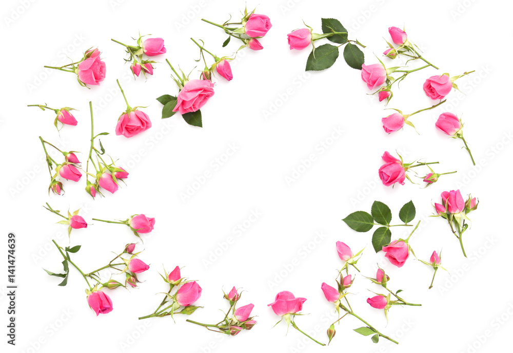 Small pink roses on a white background