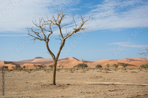 Dune in Sossusvlei Namibia