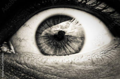 oeil nb