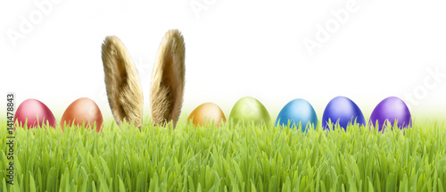 Ostereier und Osterhase im Gras