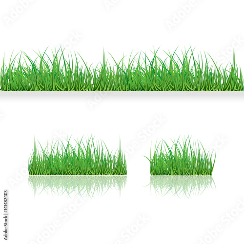 Set Green Grass Borders, Vector Illustration. Abstract field texture. Symbol of summer, plant, eco and natural, growth or fresh. Design for card, banner. Meadow template for print products.
