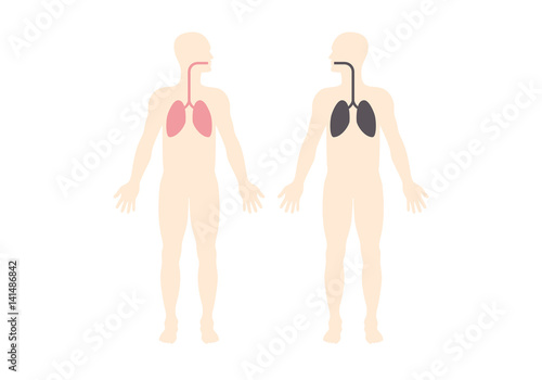 Lungs of a smoker vector. Smoker's lung. Silhouette of a man