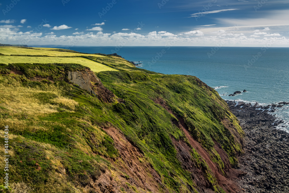 Pastures on the edge of a cliff near the sea shore. Near the Hartland Point. Devon. England