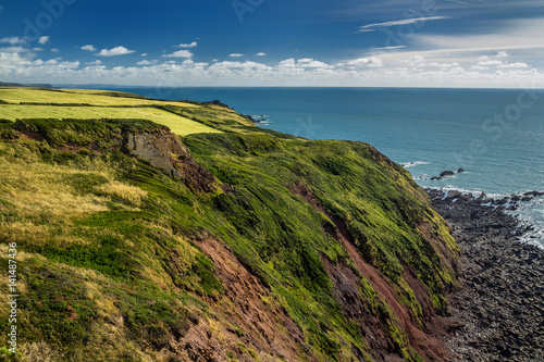 Pastures on the edge of a cliff near the sea shore. Near the Hartland Point. Devon. England