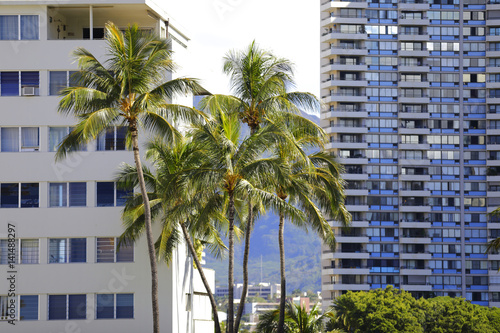 Palm trees and apartment buildings in Hawaii © Felix Mizioznikov