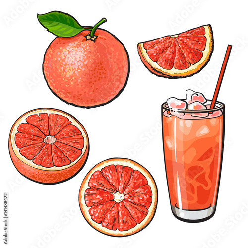 Set of whole, half, quarter grapefruit and glass of fresh juice with ice, sketch style vector illustration on white background. Hand drawn whole and cut grapefruit and glass of juice with ice