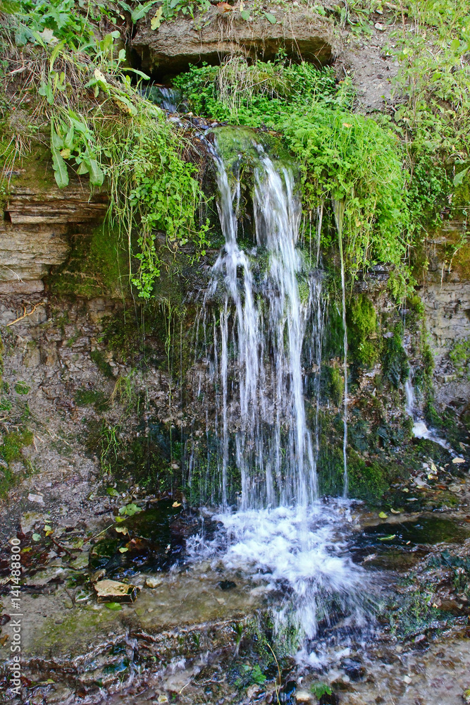 Naklejka premium Water flow from the source