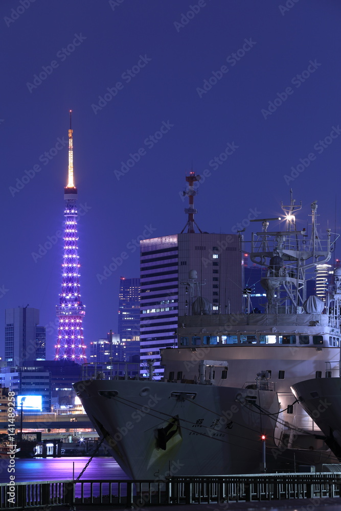 Fototapeta premium 東京夜景