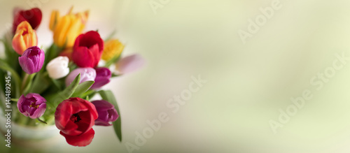 Fototapeta Naklejka Na Ścianę i Meble -  Abstract spring background with tulips