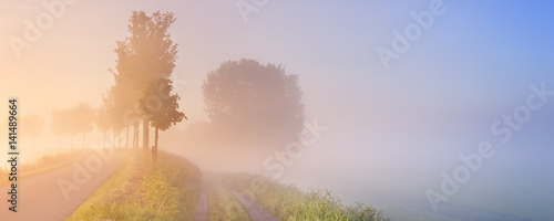 Foggy sunrise in typical polder landscape in The Netherlands