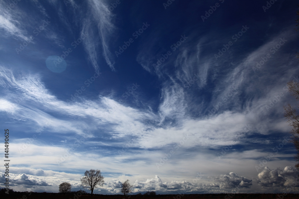 Fototapeta premium piękne wiosenne chmury nad drzewami