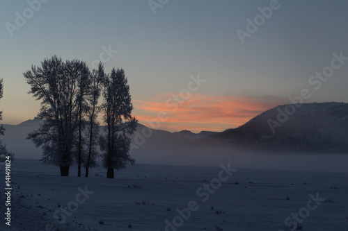 Morning winter light in Lamar Valley, Yellowstone. 