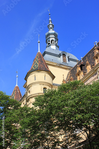 Roof of an Old Castle