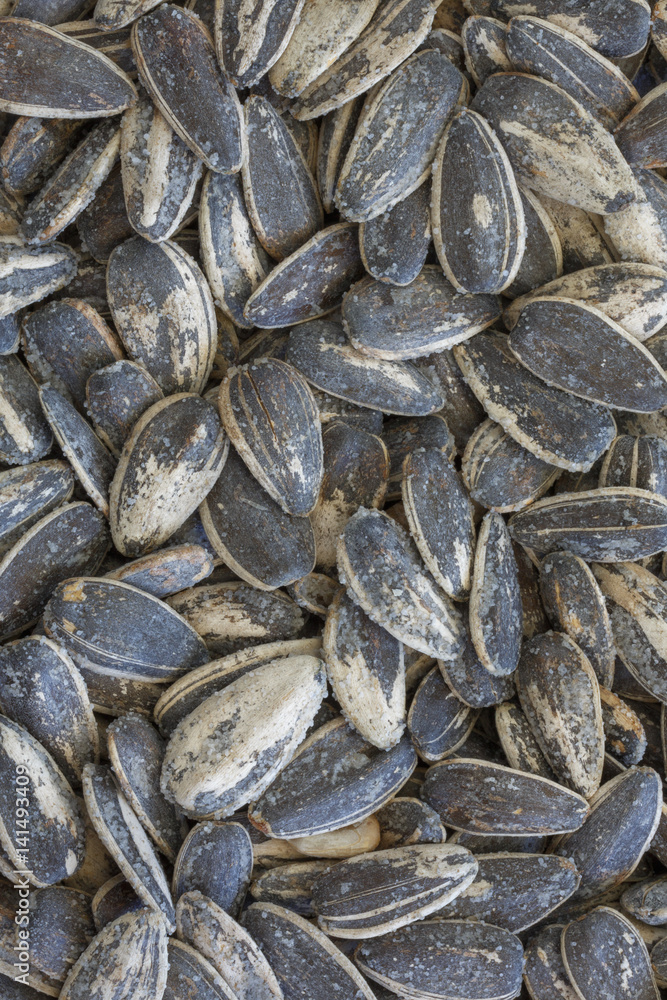 Gray striped seeds with salt macro. Food background with grain texture