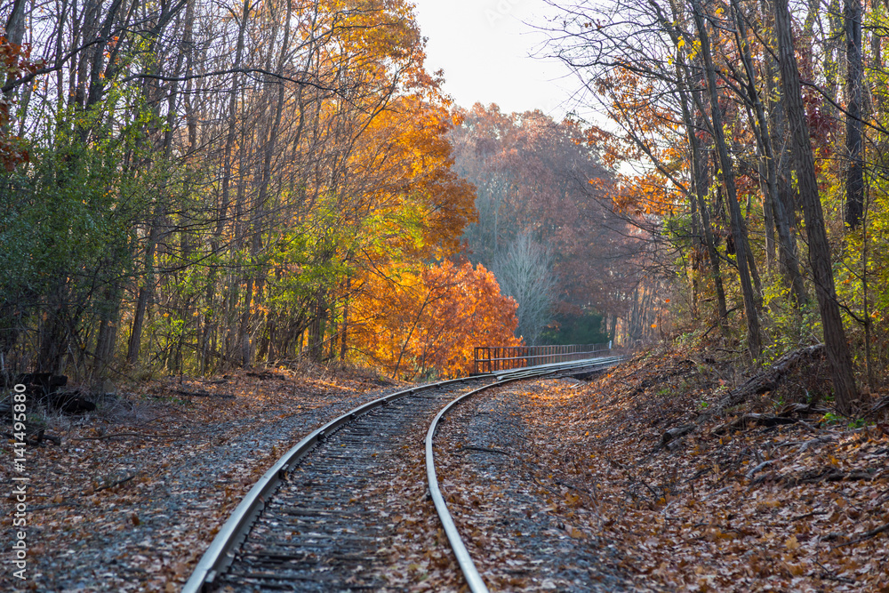 Railroad tracks and autumn foliage