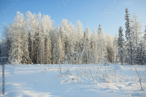 Wallpaper Mural Nature winter landscape on a clear sunny day Torontodigital.ca