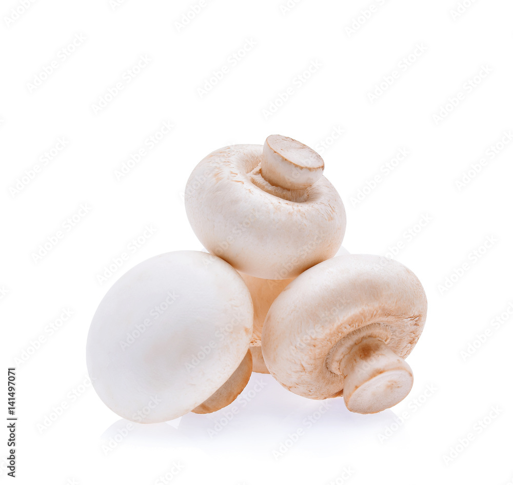 Champignon mushroom isolated on white background Champignon mushroom isolated on white background