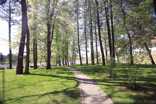 Alley in spring park green trees