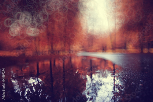 autumn park blurred background translucent frame for text