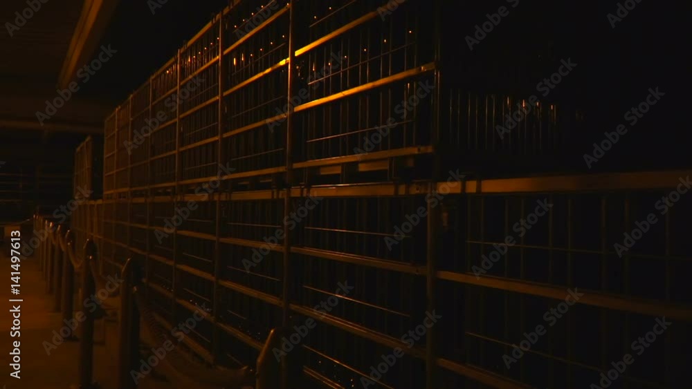Warehouse in a dark winery cellar Stock Video Adobe Stock