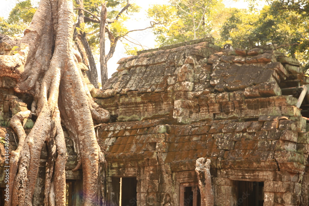 Naklejka premium Ta Prohm Temple, Cambodia