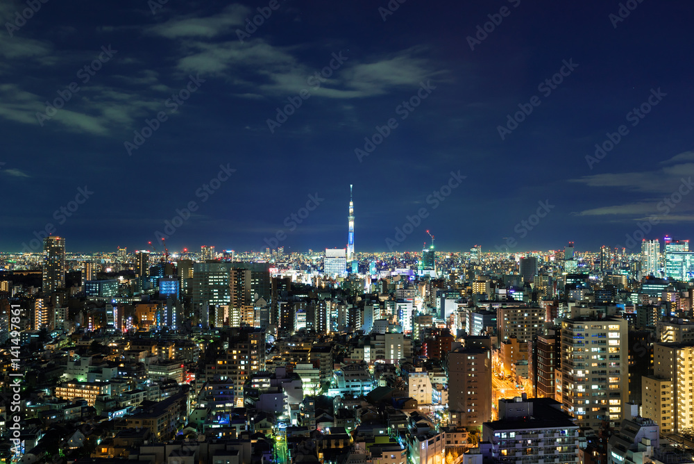 Fototapeta premium Tokyo, night-scape.