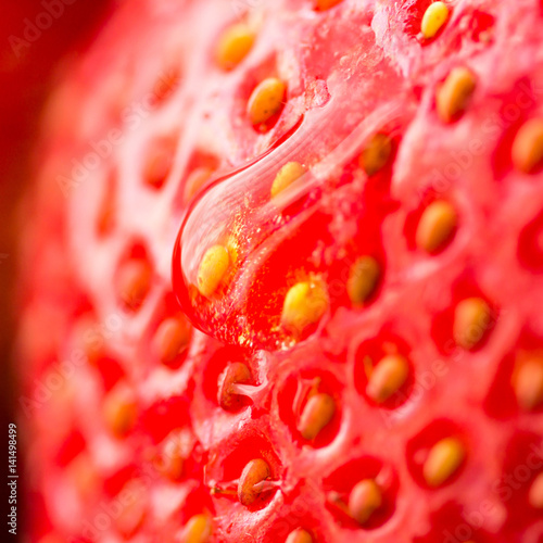 Droplet on Strawberry B