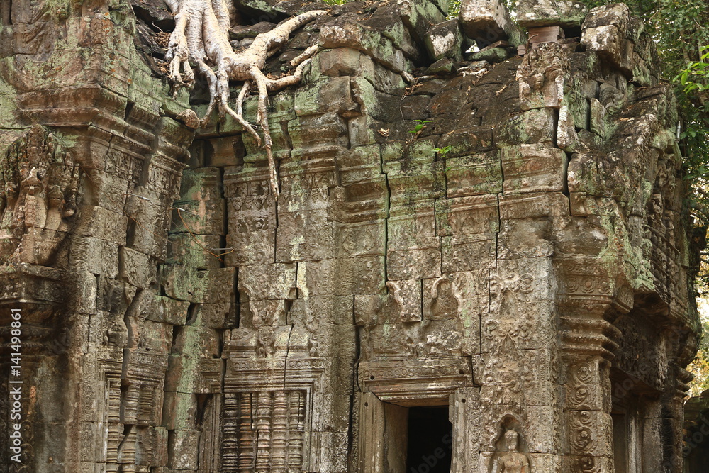 Ta Prohm Temple, Cambodia