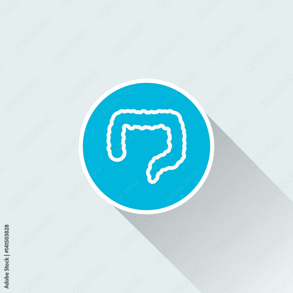 human intestines icon with long shadow human intestines icon with long shadow