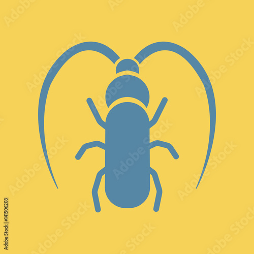 beetle barbel