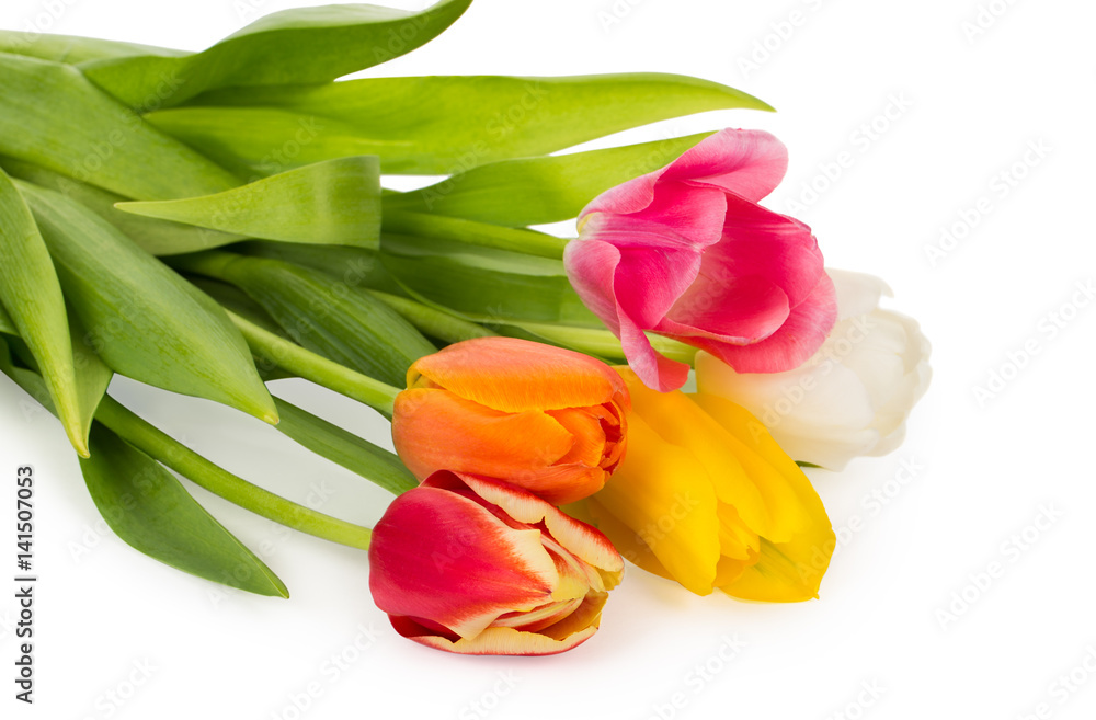 colorful tulips bouquet