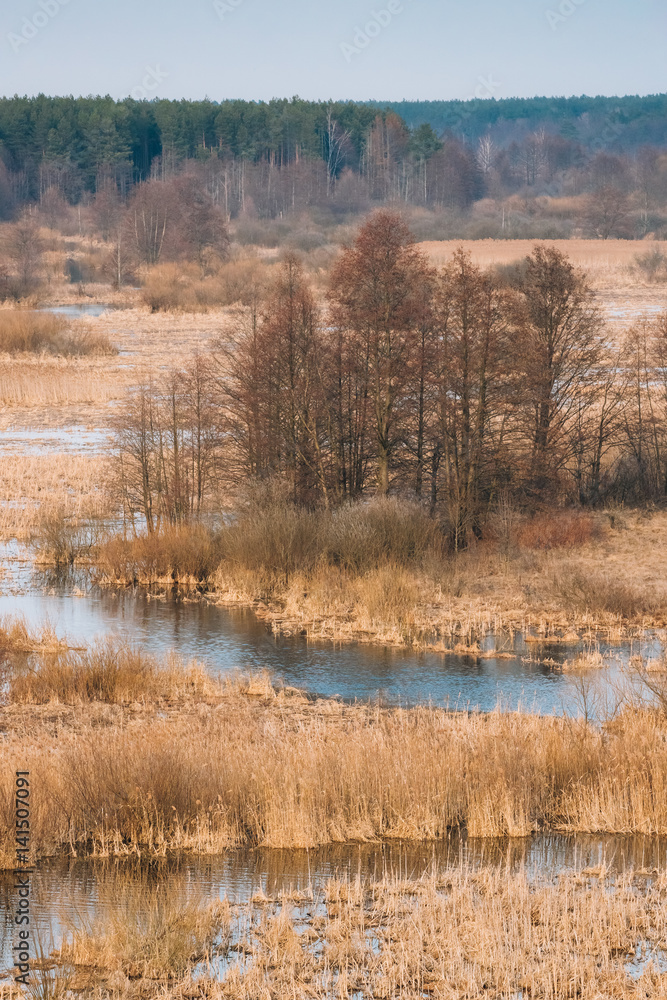 Spring Nature. Trees Woods Standing In Water During A Spring Flood Spring Nature. Trees Woods Standing In Water During A Spring Flood