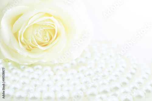 White rose and pearls in drops of water macro with soft focus on white background. Elegant gentle airy artistic template for congratulations.