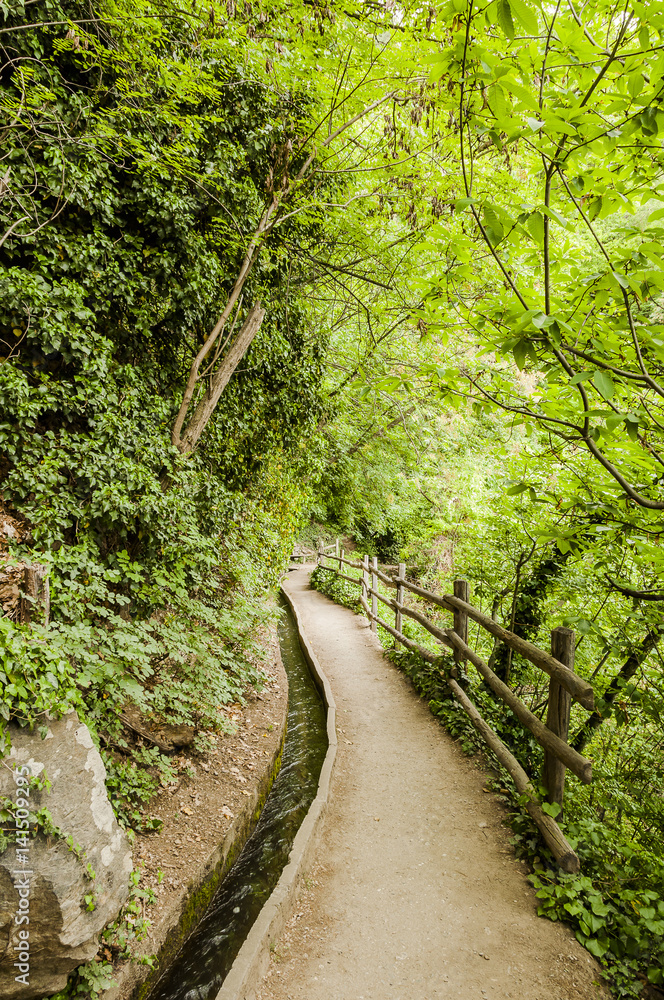 Algund, Algunder Waalweg, Waalweg, Wanderweg, Waldweg, Wald, Wasserversorgung, Frühling, Vinschgau, Südtirol, Italien Algund, Algunder Waalweg, Waalweg, Wanderweg, Waldweg, Wald, Wasserversorgung, Frühling, Vinschgau, Südtirol, Italien