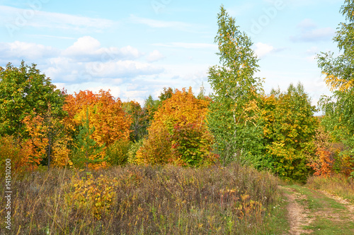 Scenic autumn landscape with colourful trees, grass and other vegetation on hill and clouds on blue sky