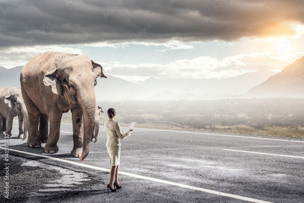 Obraz premium Animal power and stength . Mixed media