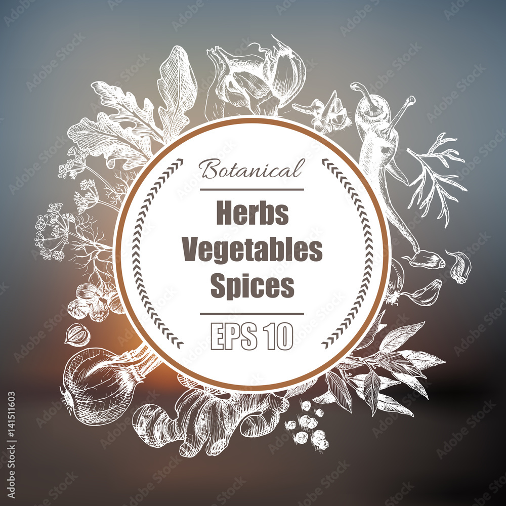 Vector background - spices, herbs, vegetables. Vector background - spices, herbs, vegetables.