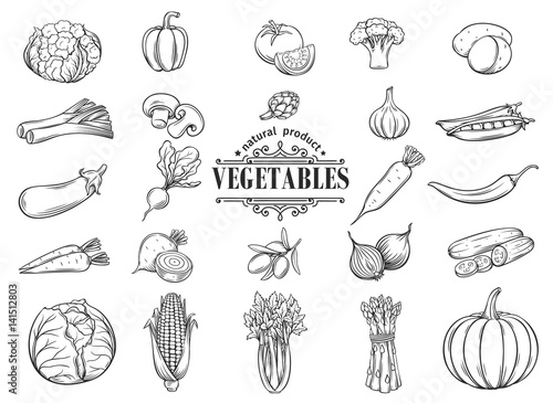 Vector hand drawn vegetables icons set. Decorative