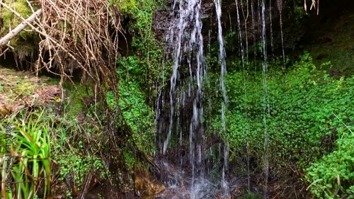 A stream flowing through English woodland near Blanchland, Northumberland, England, UK. photo