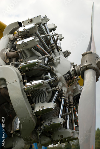 Radial engine detail with metal propeller